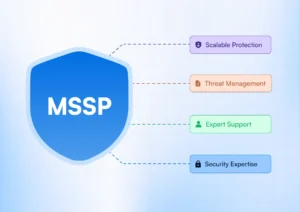 MSSP for Dummies