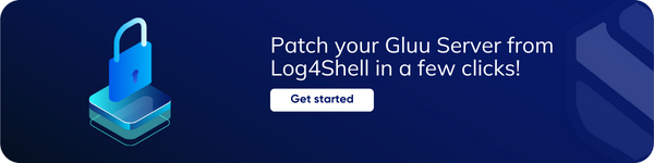 Patch Log4Shell Vulnerabilities